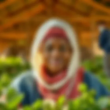 Magnificent Strategies to Alleviate Food Insecurity