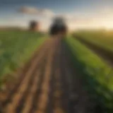 A lush field of diverse crops showcasing modern farming techniques.