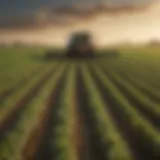Illustration of soybean cultivation techniques in a field