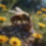 A thriving bee colony buzzing among vibrant wildflowers