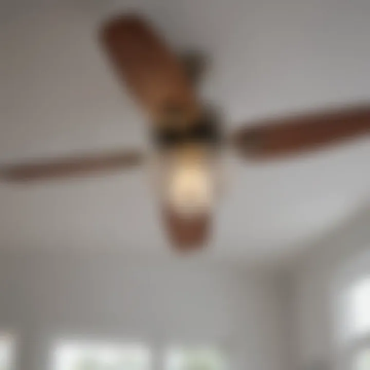 A comparison chart of top commercial ceiling fan brands