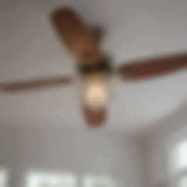 Comparison of Top Ceiling Fan Brands A comparison chart of top commercial ceiling fan brands