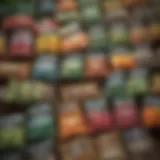 A collection of assorted vegetable seeds in labeled packets