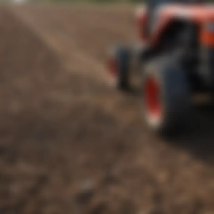 Healthy soil after using the Black Max tiller attachment