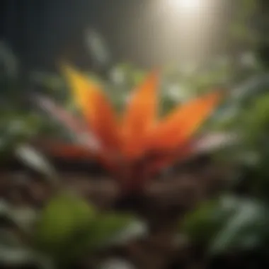 Healthy plant with vibrant leaves supported by cal mag fertilizer