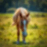 The Essence of Calm in Equine Care A serene horse grazing in a lush pasture, embodying calmness