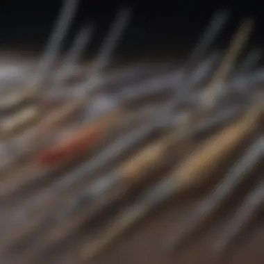 Variety of Animal Needles for Veterinary Use Different types of animal needles used for injections in livestock