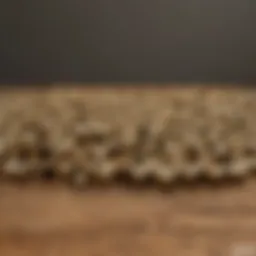 A variety of brass water hose fittings arranged on a wooden surface