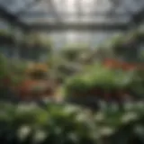 Compact tabletop greenhouse showcasing diverse plant varieties