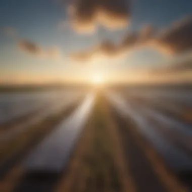 Economic Advantages of Solar Farms Graph illustrating economic benefits of solar farms