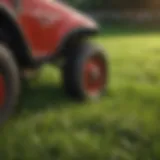 Close-up of a healthy lawn with vibrant grass