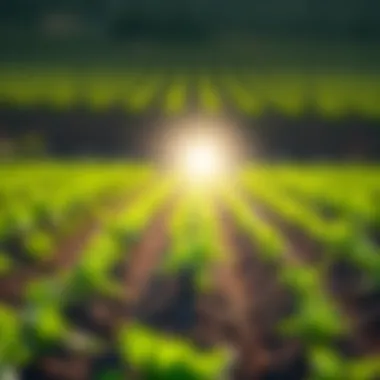 Innovative irrigation system demonstrating water efficiency in agriculture