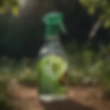 Close-up of a bottle of eco-friendly insect spray