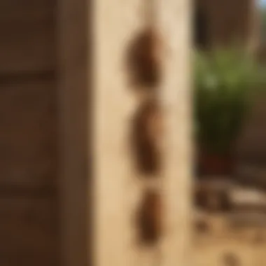 An illustration showing common signs of termite infestation
