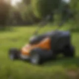Diverse electric lawn mower batteries showcasing different types and specifications