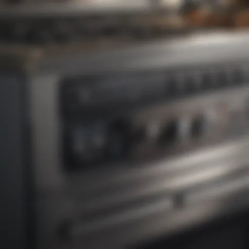 Detailed view of Electrolux Silverado appliance parts