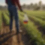 Overview of Sonalan herbicide application in a field