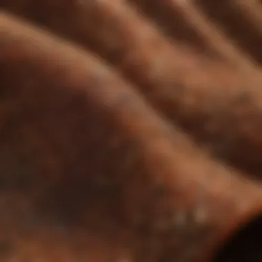 High-Quality Fabric Detail Close-up of high-quality fabric used in Ariat clothing, highlighting texture and durability