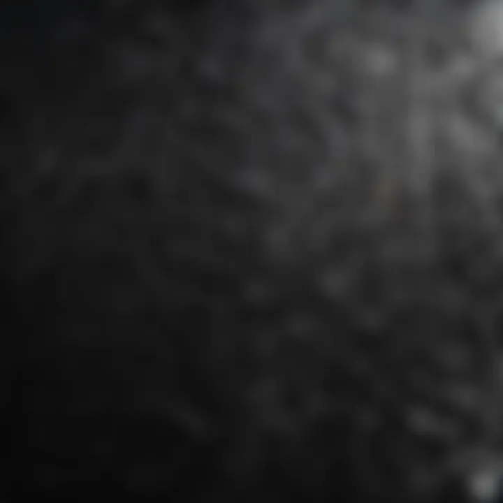 Close-up of a black plastic garden urn showcasing its textured surface and design