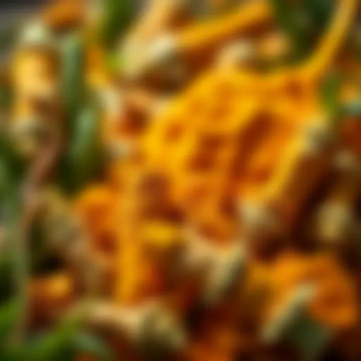 Incorporating turmeric into diets