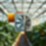 Illustration of an exhaust fan with shutters in an agricultural setting, showcasing its placement in a greenhouse.