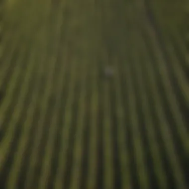 Aerial view of Albany, Ohio farmland showcasing diverse crops