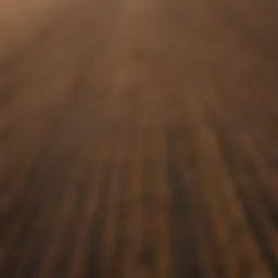 Aerial view of vast farmland with rich soil and crops ready for harvest