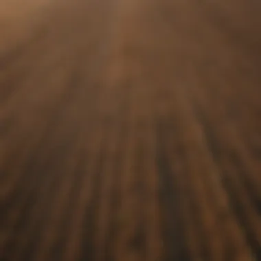 Aerial Perspective of Fertile Farmland Aerial view of vast farmland with rich soil and crops ready for harvest