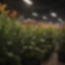 Large LED grow light illuminating a variety of plants