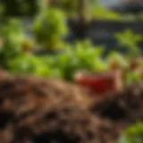 Diverse mulch spreaders in a garden setting