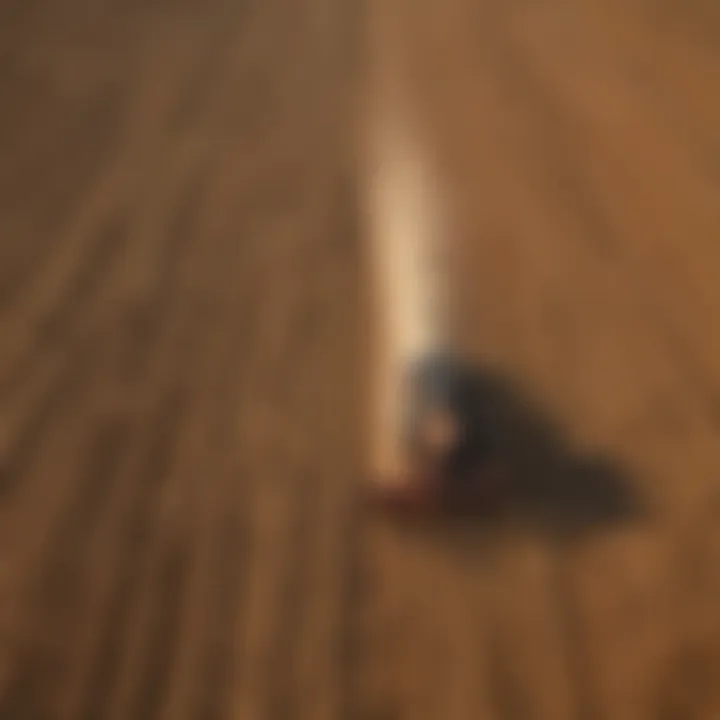 Aerial view of a sustainable farming landscape