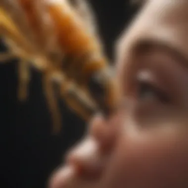 Analyzing Treatment Efficacy Researcher analyzing varroa mite treatment efficacy