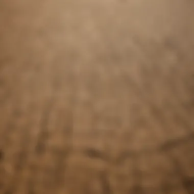 Aerial view of a drought-affected agricultural field