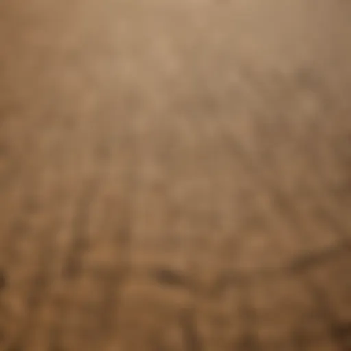 Aerial view of a drought-affected agricultural field