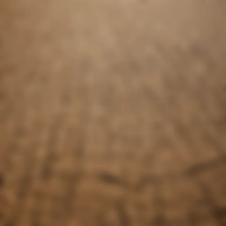 Aerial view of a drought-affected agricultural field