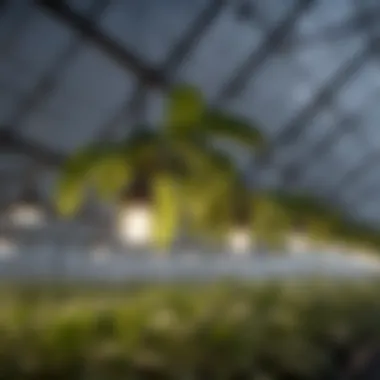 A close-up view of flush mount grow lights illuminating a greenhouse