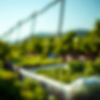 Spirulina in eco-friendly practices highlighting its environmental significance