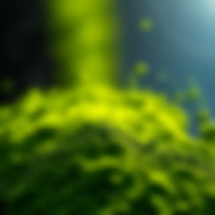 Nutritional benefits of spirulina represented as a vibrant green powder