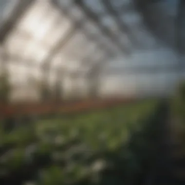 Advanced Climate Control for Optimal Growth Innovative climate control systems integrated into a greenhouse