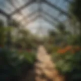 A well-designed greenhouse with diverse plants thriving inside