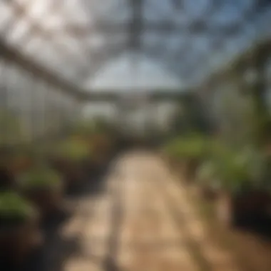 Implementing Sustainability in Greenhouse Management Sustainable practices showcased in a home greenhouse setting