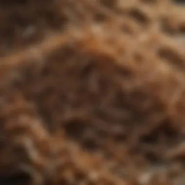 Close-up of Shredded Organic Material for Composting Close-up of shredded organic material for composting