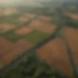 Aerial view of a farmland with mapped sections