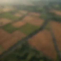 Aerial view of a farmland with mapped sections