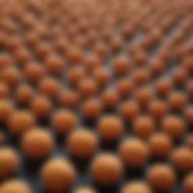 Close-up of various membrane types used in agriculture
