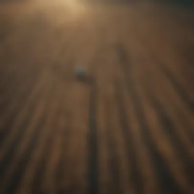 Aerial view of agricultural plots in Fresno