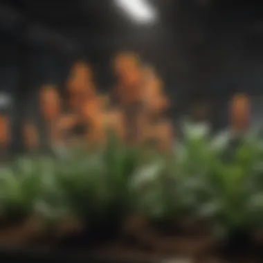 Healthy plants thriving under fluorescent lighting