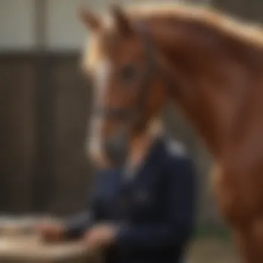 Effective Deworming Treatments Various deworming treatments for horses
