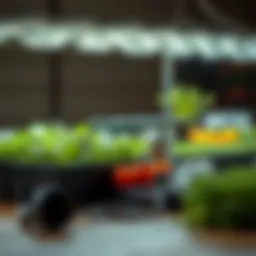 Hydroponics full kit components laid out