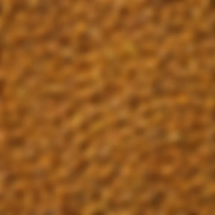 A close-up view of Lancaster Sure Crop Corn kernels showcasing their unique color and texture.
